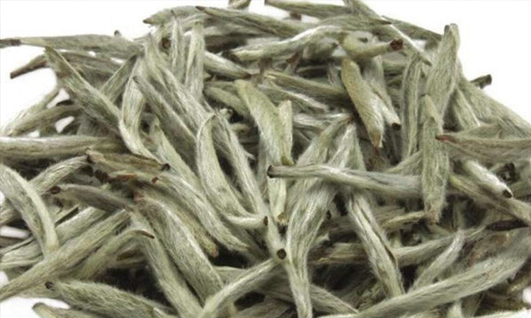 常見的香氛香型都有哪些 常見的香氛香型都有哪些