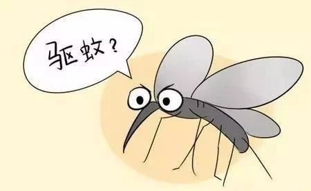 夏天來(lái)了，驅蚊的香料有哪些