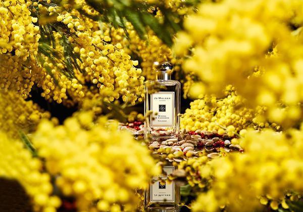 祖瑪瓏最值得買的6款香水！香水界白蓮花，它是初戀的味道