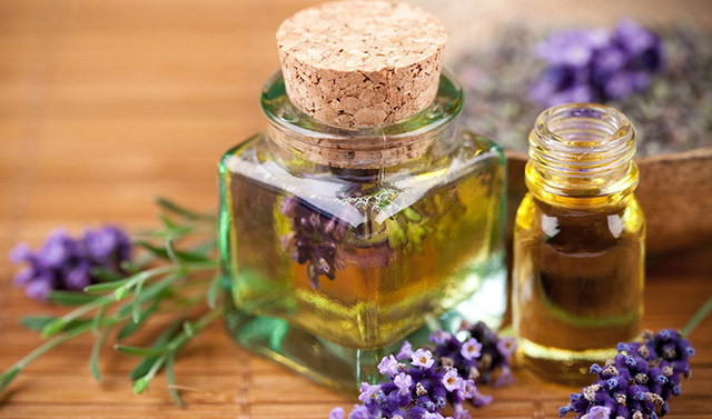 什么是芳香植物？