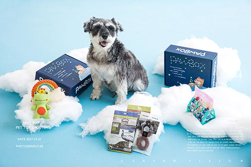 寵物用品有哪些？